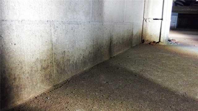 Mold and Mildew on Crawl Space Wall