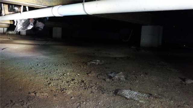 Humidity Havoc in Crawl Space