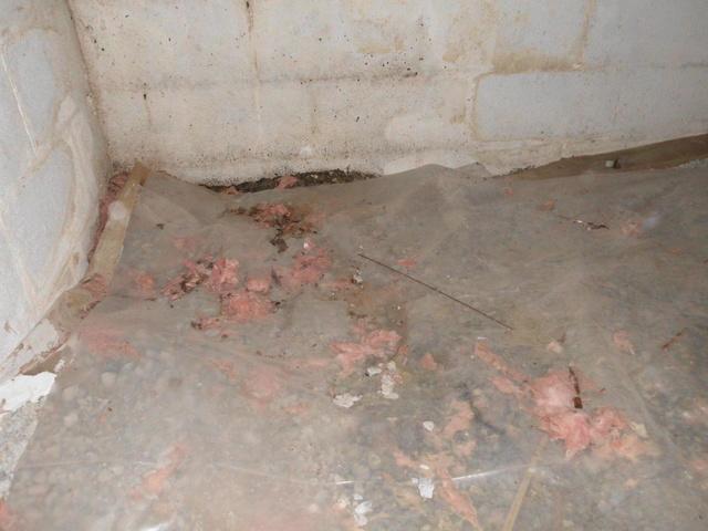 Dirty crawl space