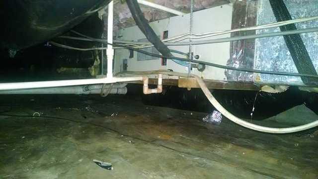 Debris, Mold, and More!