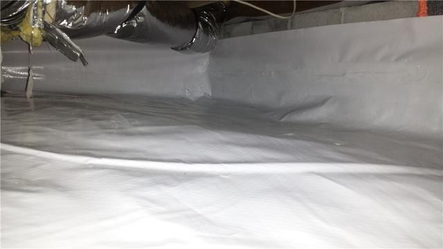 Many homeowners have not seen what their crawl space looks like because they do not want to crawl underneath their home. Luckily, they don't have to because that is what DryZone is here for. We provide a free quote to inspect your crawl space for you!