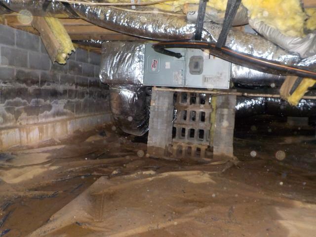 Wet, musty crawl space