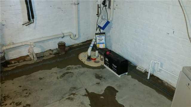 TripleSafe Sump Pump