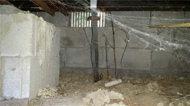 Creepy Crawl Space