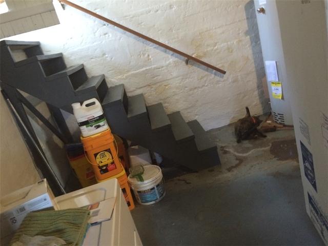 Water in Basement Cove