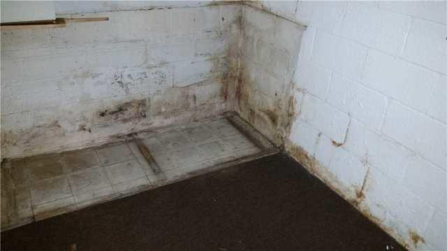 Moldy Basement Floor & Walls