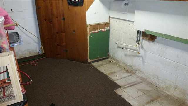 Moldy Basement
