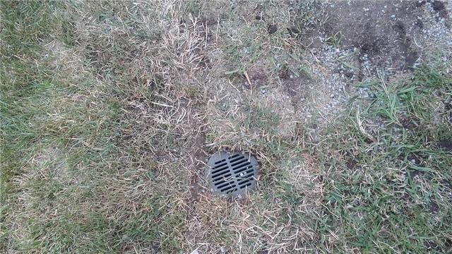 Lawnscape Outlet Provides Convenient Discharge