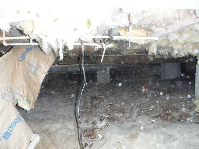 NASTY CRAWL SPACE