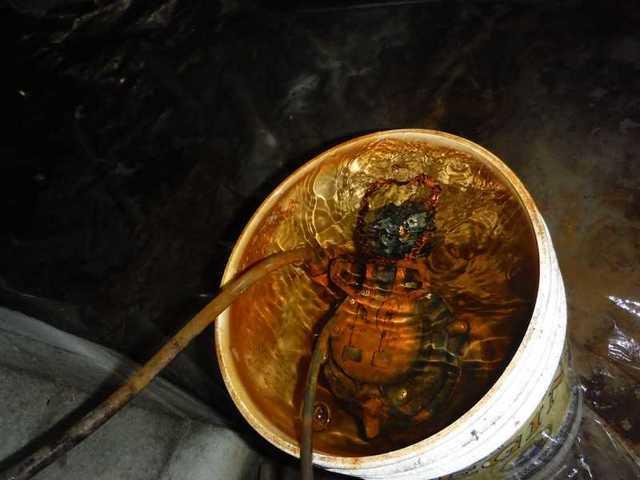 Old Sump Pump