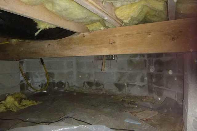 Water Damage & Insulation