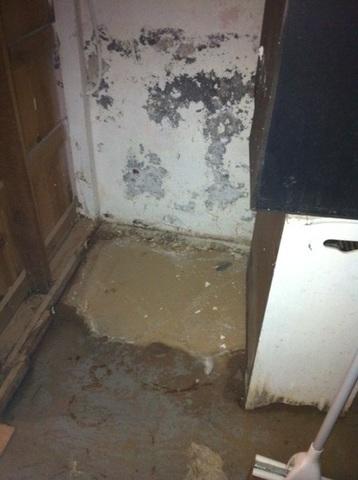 Moldy Basement in West Hartford, CT