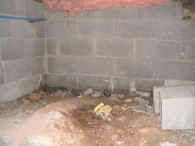 Mold growth