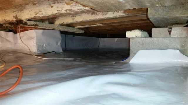 Quantico, MD Crawl Space