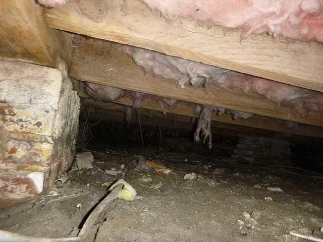 Falling Insulation