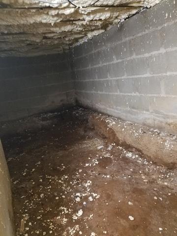 Dirty crawl space in Trumbull CT