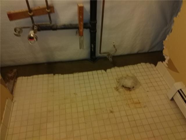 Hidden Basement Drain in Spotswood