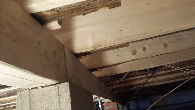 NEW Floor Joists & Girder