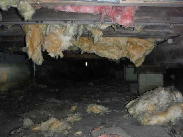 Falling Insulation & Moisture