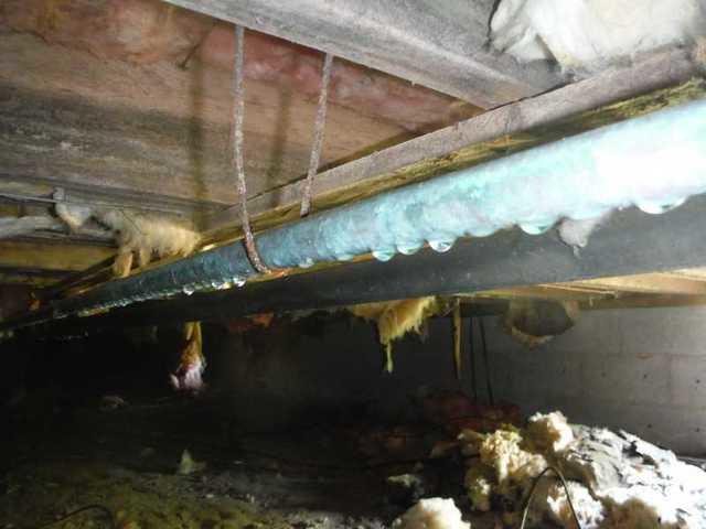 Moisture In Marion Station