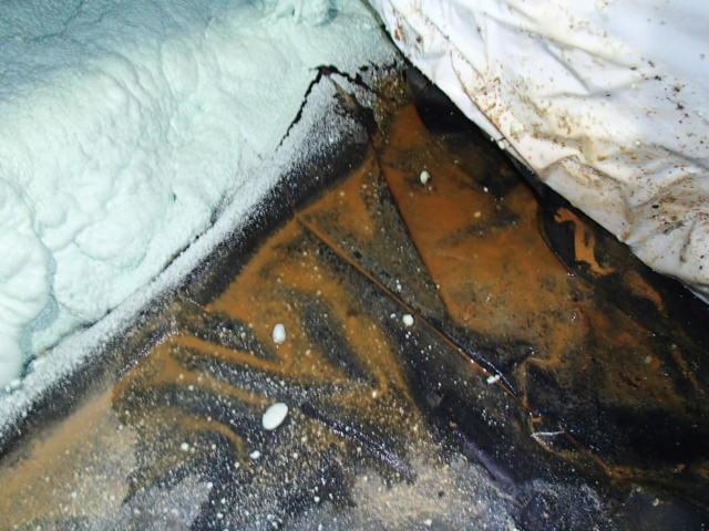 Water in crawl space