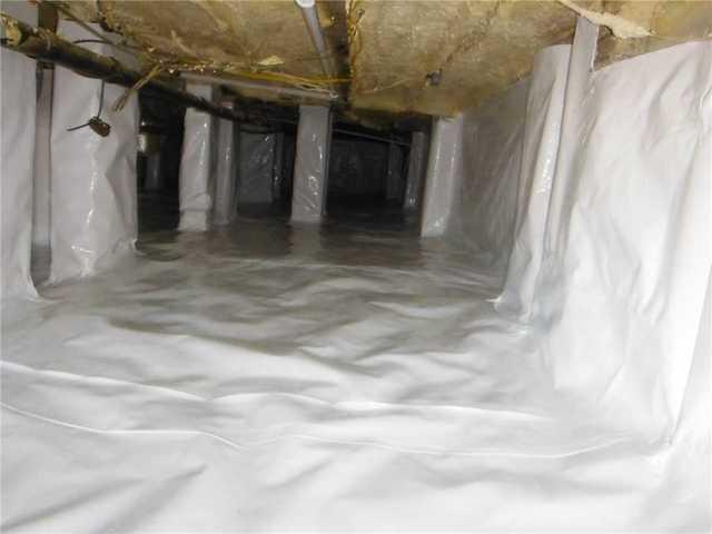 Crawl Space Protection