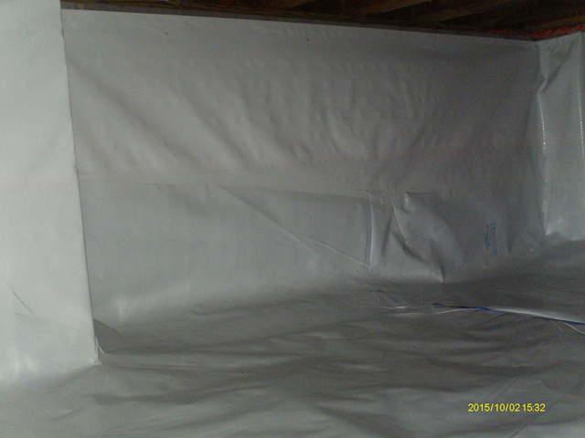 CleanSpace