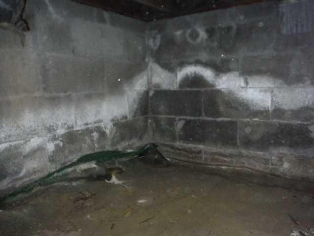 Mold In The Crawl Space