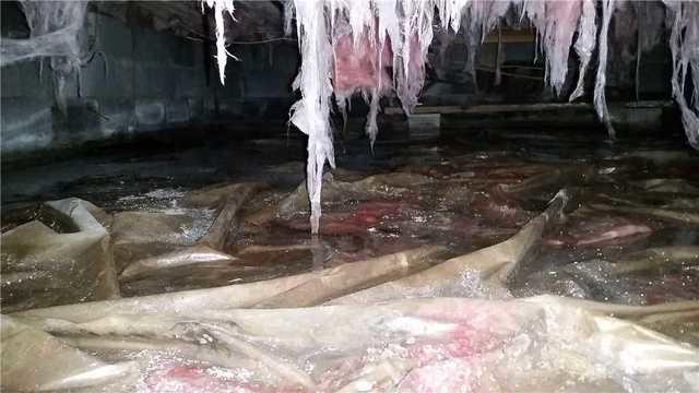 Water Damage & Falling Insulation