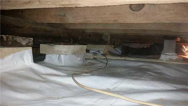 Finished Crawl Space