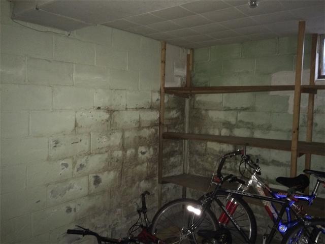 Major Water Damage in Basement