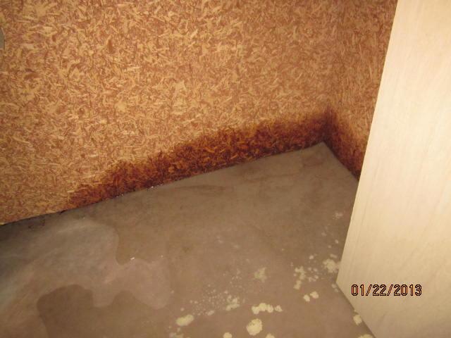 Damaged Cedar Closet Wall in Cheshire, CT