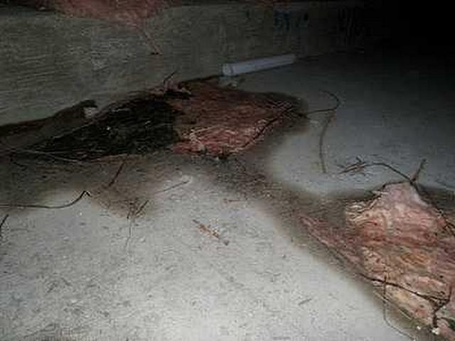 Fallen Insulation and Water