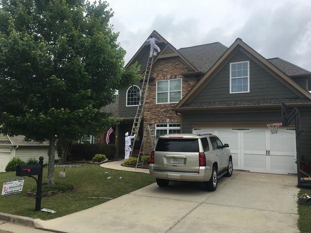 Drip Edge/Trim Painting