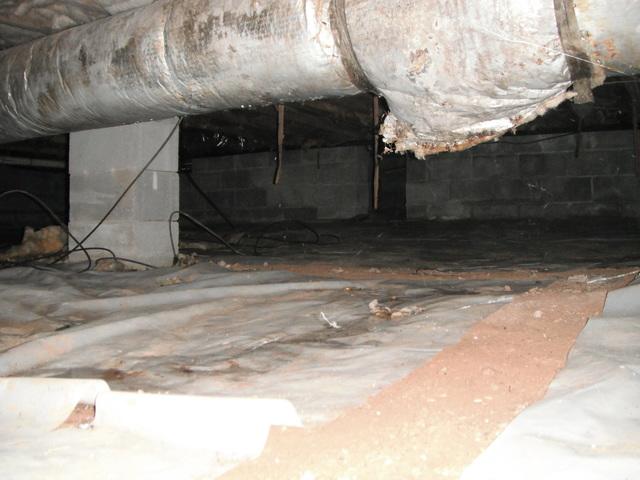 Dirt Floor