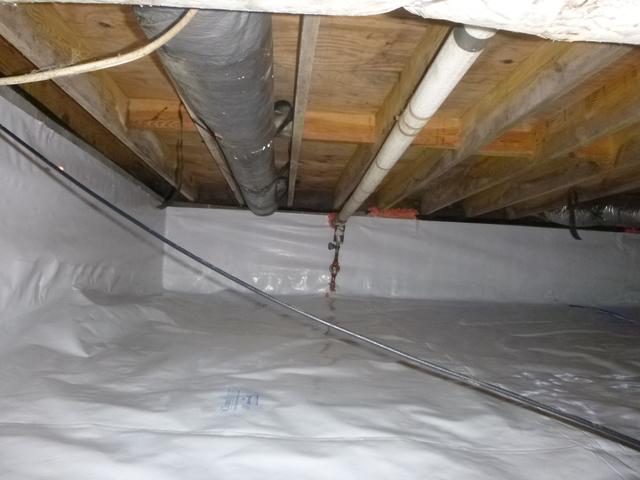 Clean and Dry!