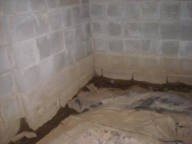 Cheap liner
