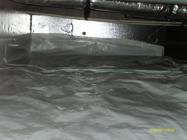 CleanSpace after