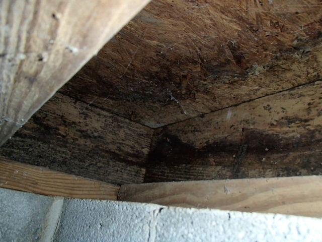 Rotting foundation