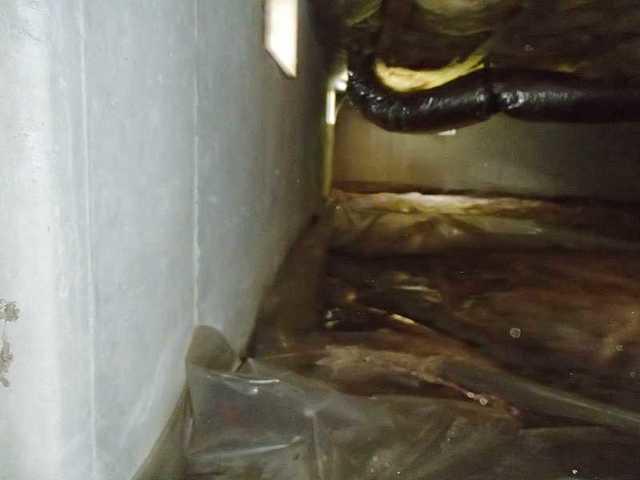 Crawl Space Needs Encapsulation