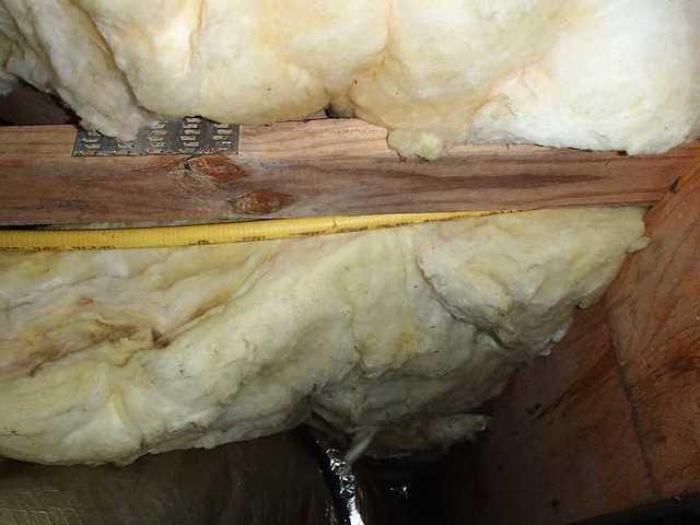 Mold In The Crawl Space