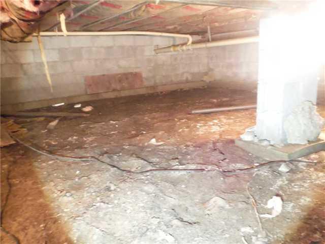 Waterlogged Debris in Crawl Space