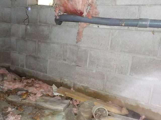 Waterlogged Debris in Crawl Space