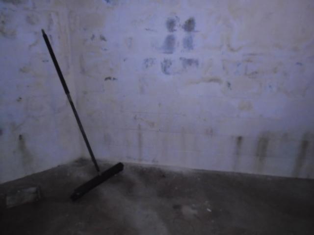 Moldy Basement