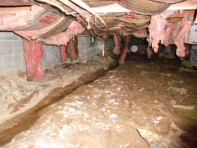 SilverGlo in Toledo, Illinois Crawlspace