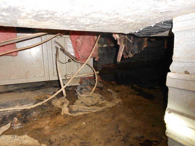 CleanSpace Renews Toledo, Illinois Crawlspace