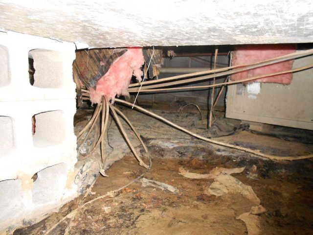 Wet, Moldy Crawlspace in Toledo, Illinois Renewed with SaniDry
