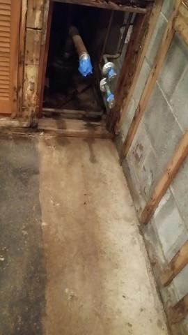Water Damage and Moldy Basement