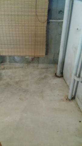 The flooring and the walls were turning brown from how bad the water was pooling up behind the walls. Mold and mildew were very noticeable and turned this space into a no-mans land.