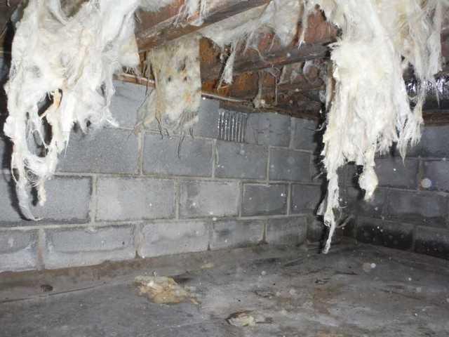 Insulation Problem in Woolford, MD